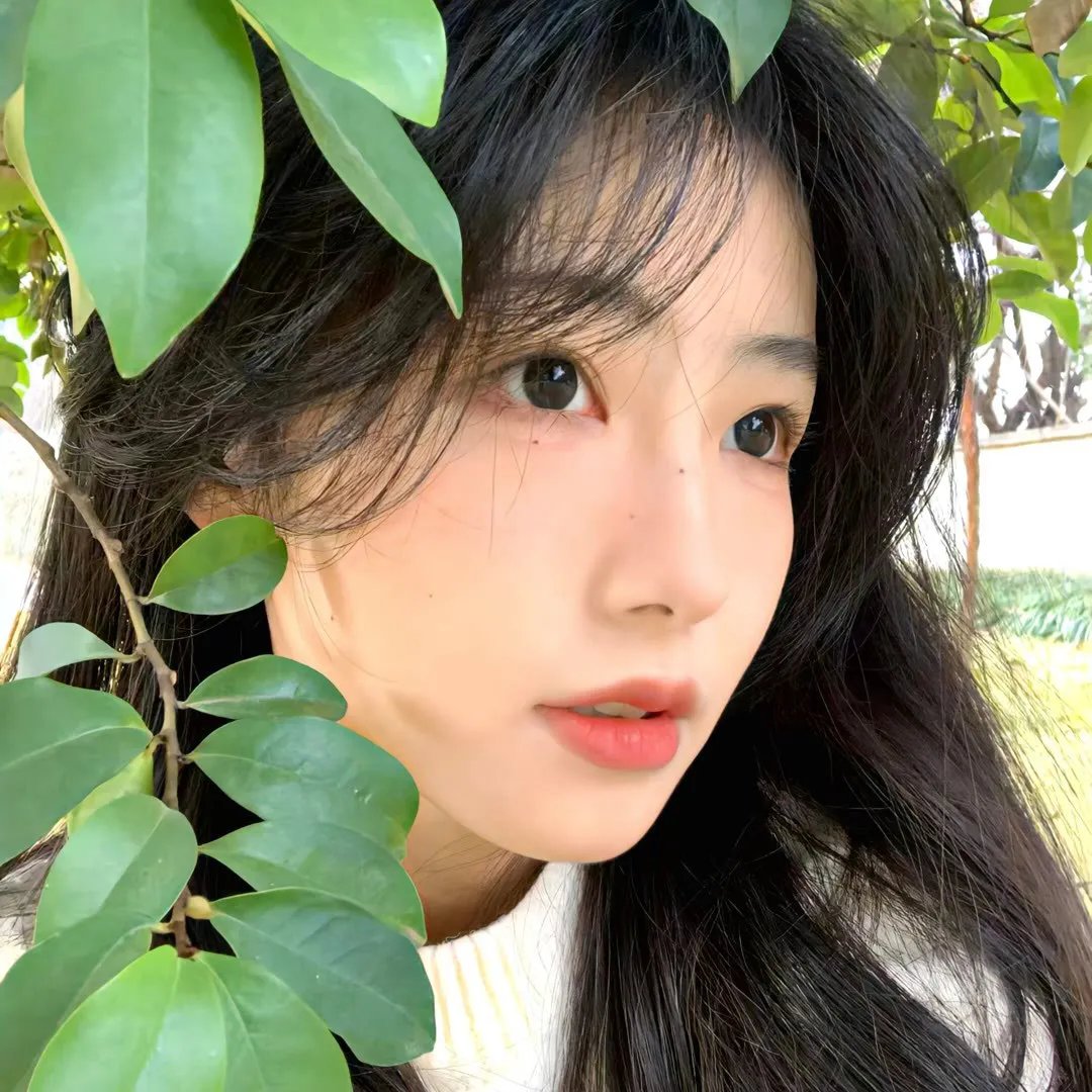 美人局，浮生烬